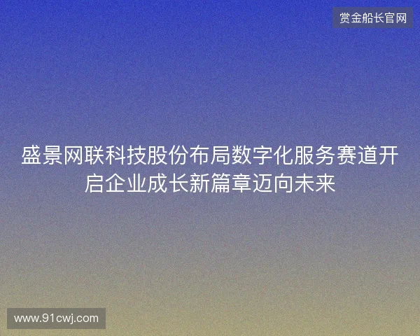 盛景网联科技股份布局数字化服务赛道开启企业成长新篇章迈向未来